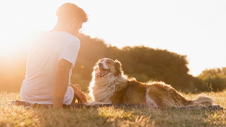 Köpekler İnsan Duygularını Gerçekten Hissedebilir mi?