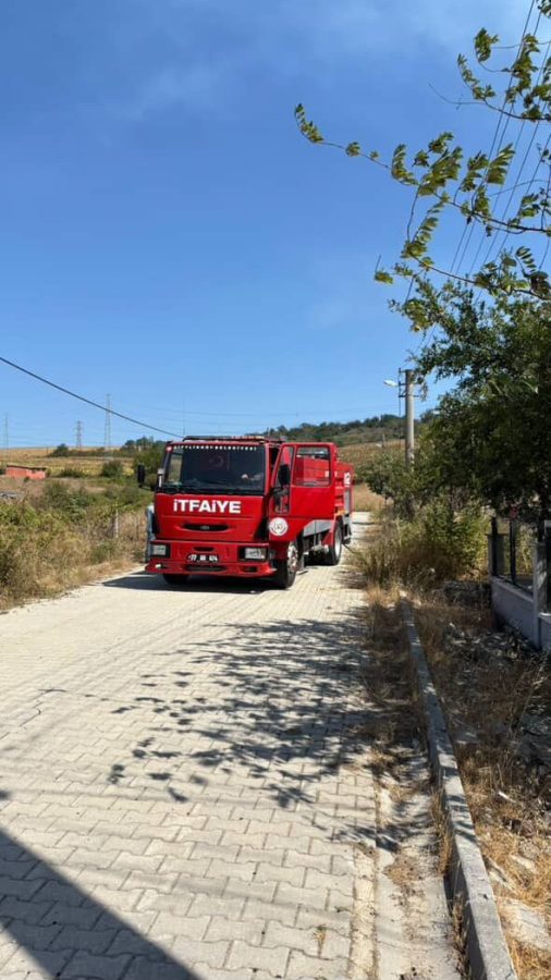 YALOVA'DA BÜYÜKBAŞ HAYVANLAR ALEVLERDEN SON ANDA KURTARILDI KENTTE DÖRT FARKLI NOKTADA PEŞ PEŞE YANGINLAR MEYDANA GELDİ