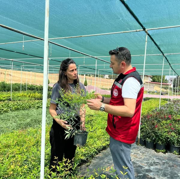 Yalova’da “Süper Meyve” Aronya Hasadı Öncesi Bahçelerde İnceleme