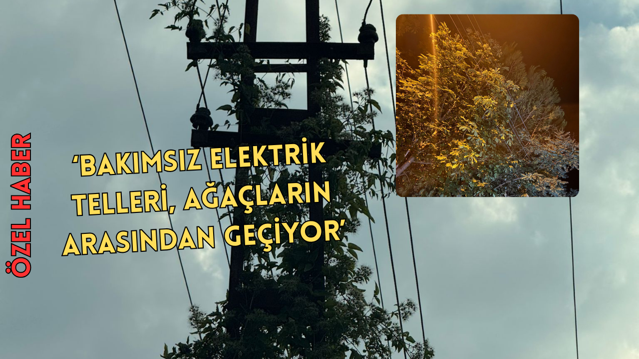 “BU SADECE KARAMÜRSEL’İN DEĞİL, TÜRKİYE’NİN SORUNUDUR”