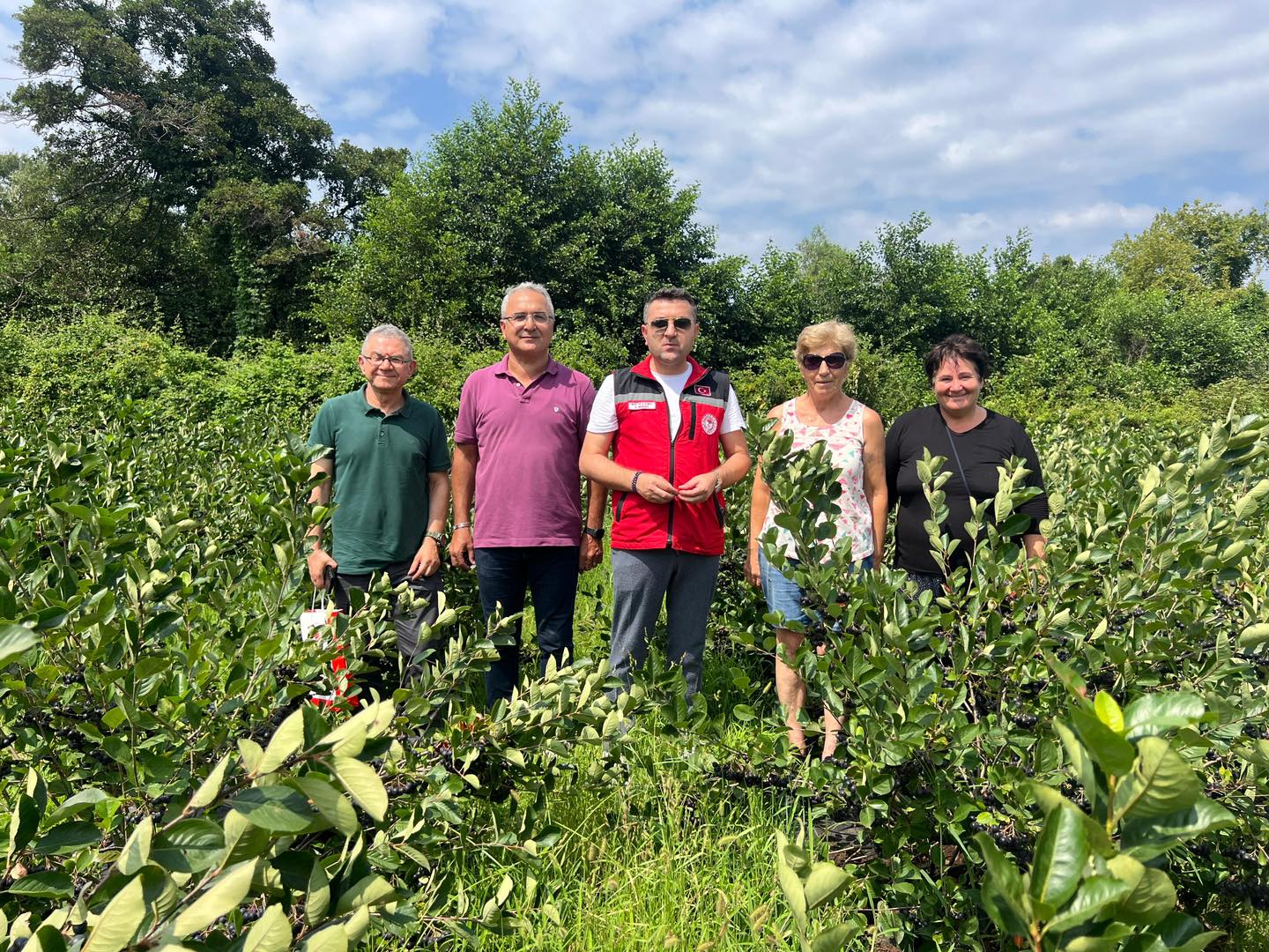 Yalova’da “Süper Meyve” Aronya Hasadı Öncesi Bahçelerde İnceleme