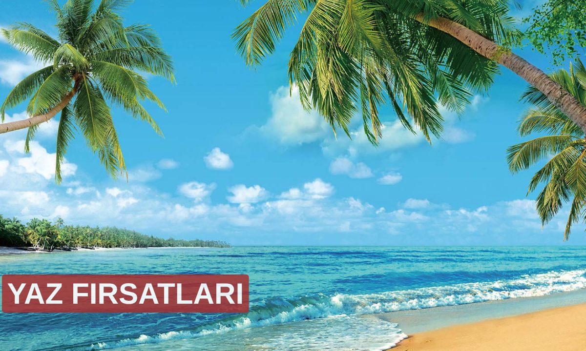 YAZ FIRSATLARI