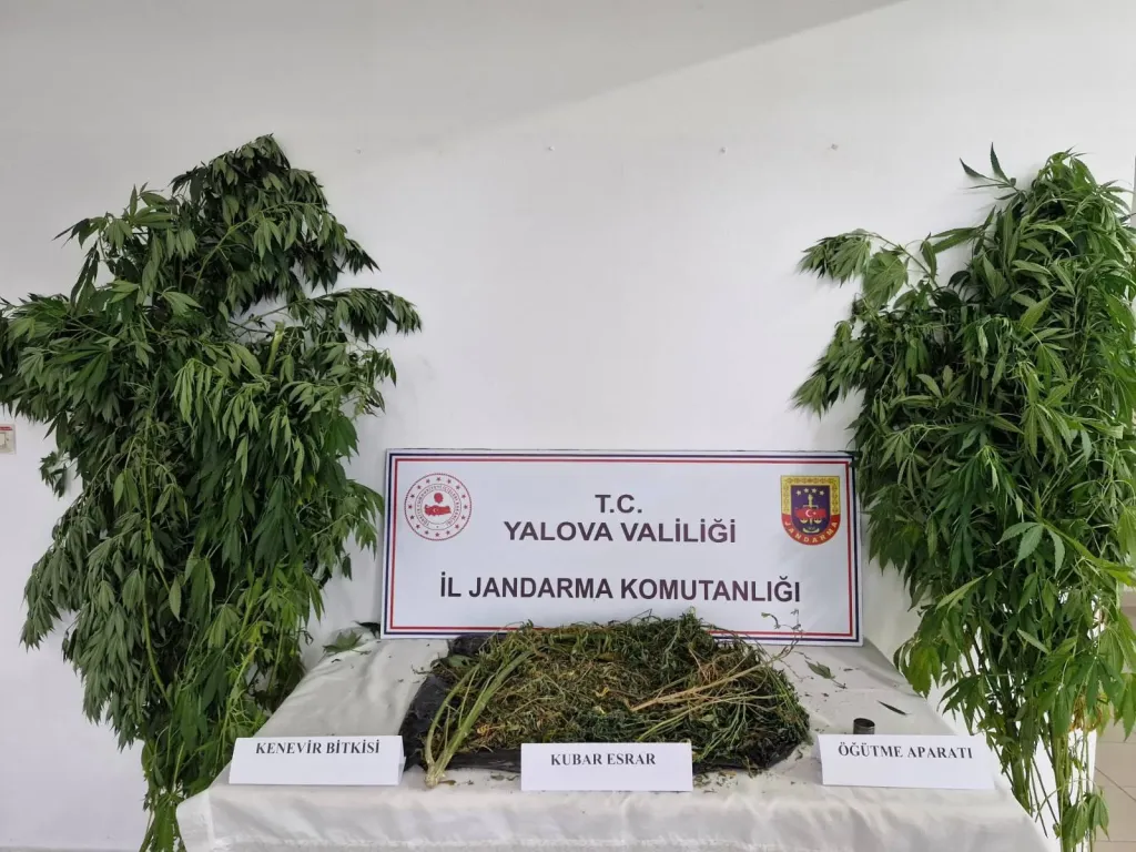 YALOVA’DA UYUŞTURUCU OPERASYONU