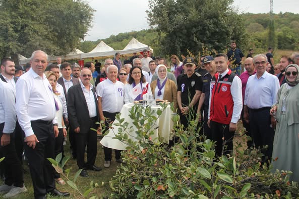 ORTABURUN KÖYÜNDE ARONYA HASADI