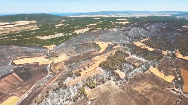 KARAMÜRSEL’DE YANAN BÖLGELER YEŞİLLENDİRİLECEK