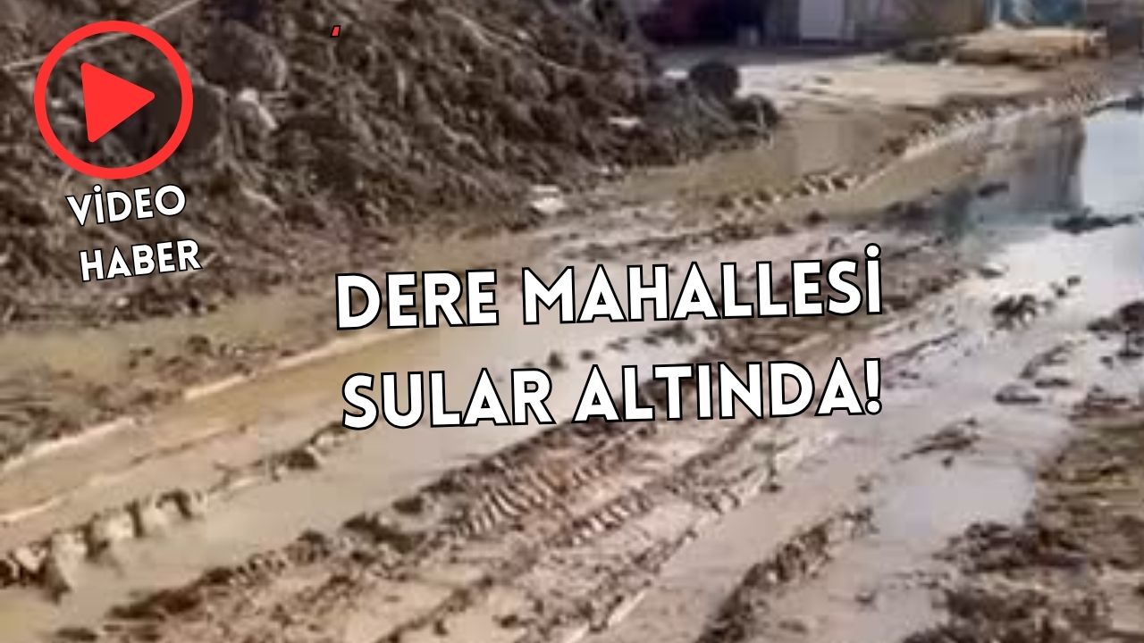 YALOVA’DA MAHALLE S.O.S VERİYOR!