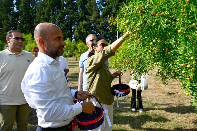 YALOVA’DA ARONYA HASADI GERÇEKLEŞTİRİLDİ