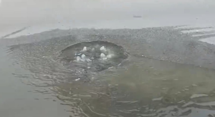 DENİZİ KİRLETTİLER, 4 MİLYON LİRA CEZA YEDİLER! 2 DENİZİ KİRLETTİLER, 4 MİLYON LİRA CEZA YEDİLER!