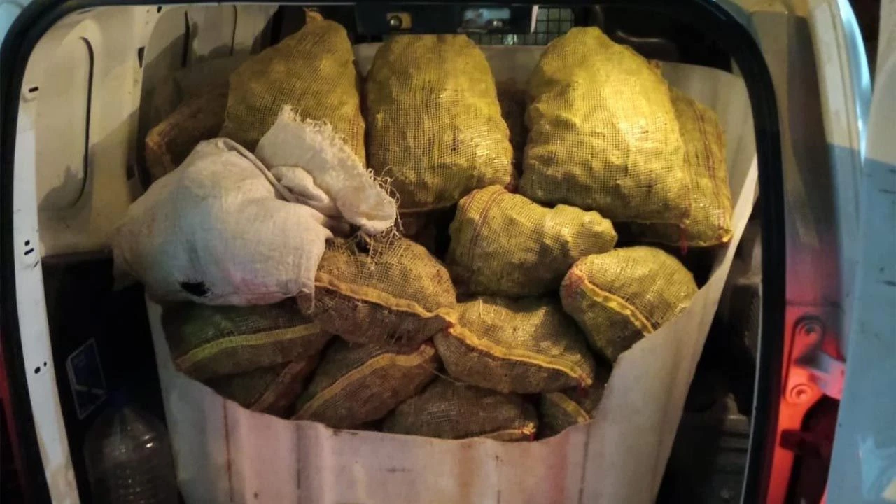 ARMUTLU’DA 500 KİLO KAÇAK MİDYE ELE GEÇİRİLDİ 4 ARMUTLU’DA 500 KİLO KAÇAK MİDYE ELE GEÇİRİLDİ