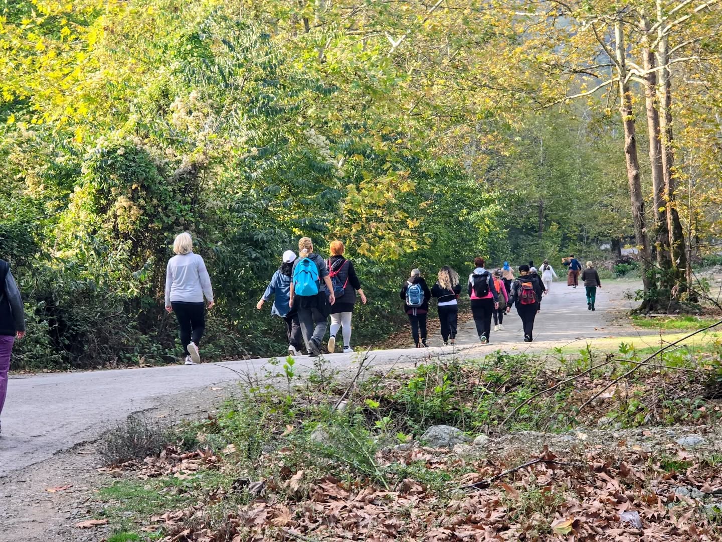 ÇINARCIKLI KADINLARDAN DOĞA YÜRÜYÜŞÜ
