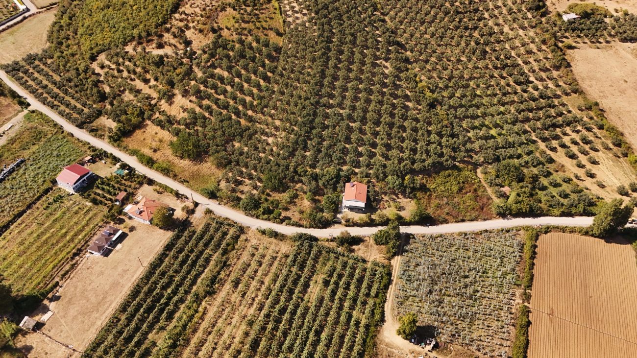 YALOVA İL ÖZEL İDARESİ, 44 KİLOMETRELİK KÖY YOLUNU YENİLEDİ