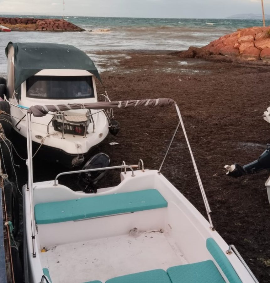 KORUKÖY BALIKÇI BARINAĞINDA KRİTİK SORUN!