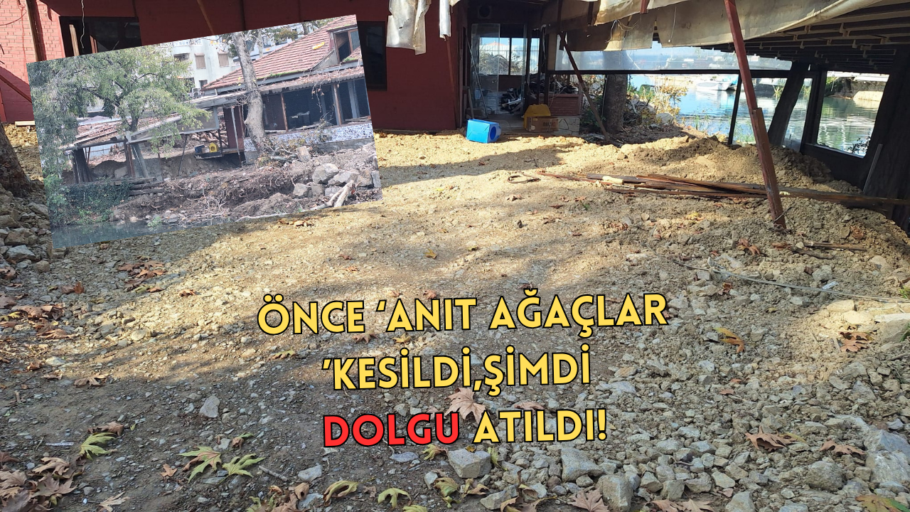YALOVA’DA ANIT AĞAÇLARIN ARDINDAN ŞİMDİ DE ‘İZİNSİZ DOLGU’ İDDİASI ÖZEL HABER:EMRE CAN KAZMALI