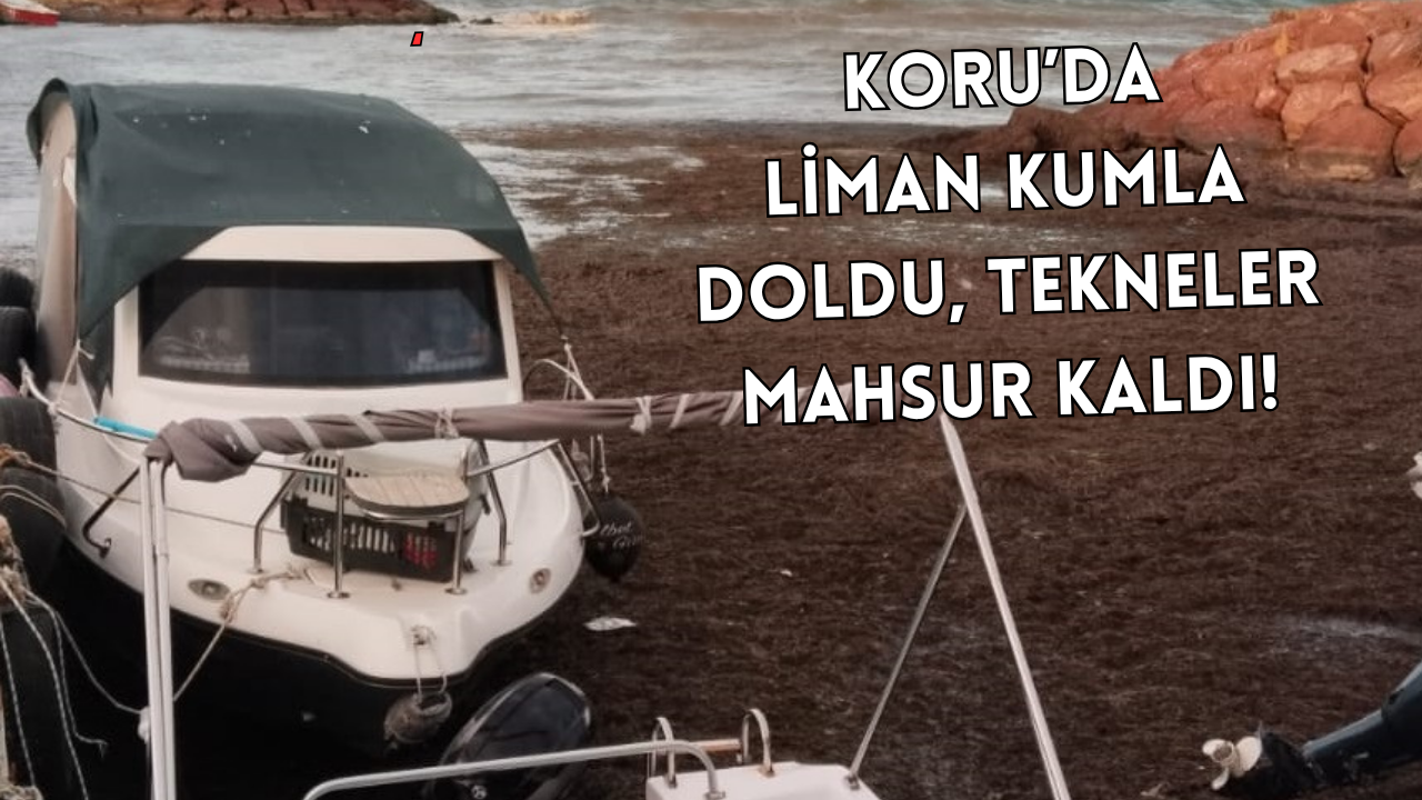 KORUKÖY BALIKÇI BARINAĞINDA KRİTİK SORUN!