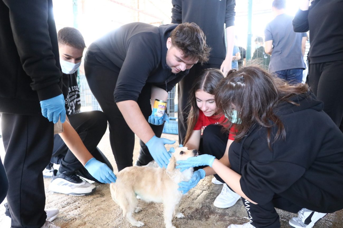 23 HAYVAN YENİ YUVASINA KAVUŞTU