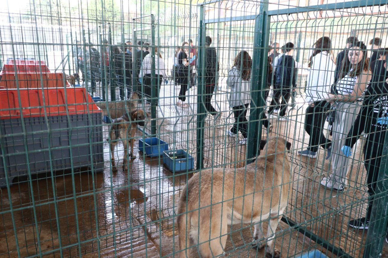 23 HAYVAN YENİ YUVASINA KAVUŞTU