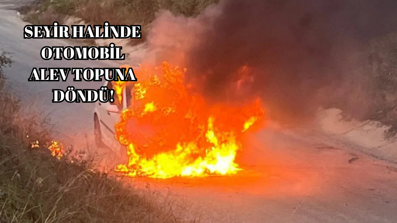 YALOVA’DA ARAÇ KÜLE DÖNDÜ!