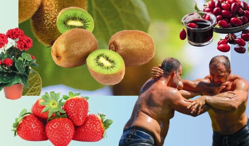 YALOVA’DA KÜLTÜREL MİRASLAR VE FESTİVALLER UNUTULUYOR MU?