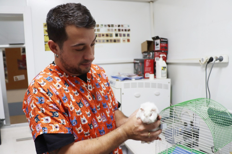 YALOVA’DA SEVİMLİ GİNEPİG YENİ YUVASINI BEKLİYOR