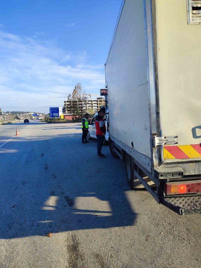 YALOVA’DA ŞAP HASTALIĞI DENETİMLERİ ARALIKSIZ SÜRÜYOR