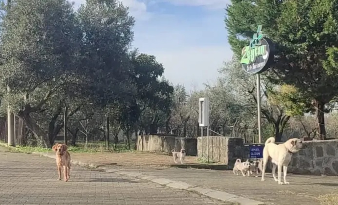 “KARAMÜRSEL'DE YETKİLİLER NE ZAMAN GÖREVİNİ YAPACAK?” 2 “YETKİLİLER NE ZAMAN GÖREVİNİ YAPACAK?”