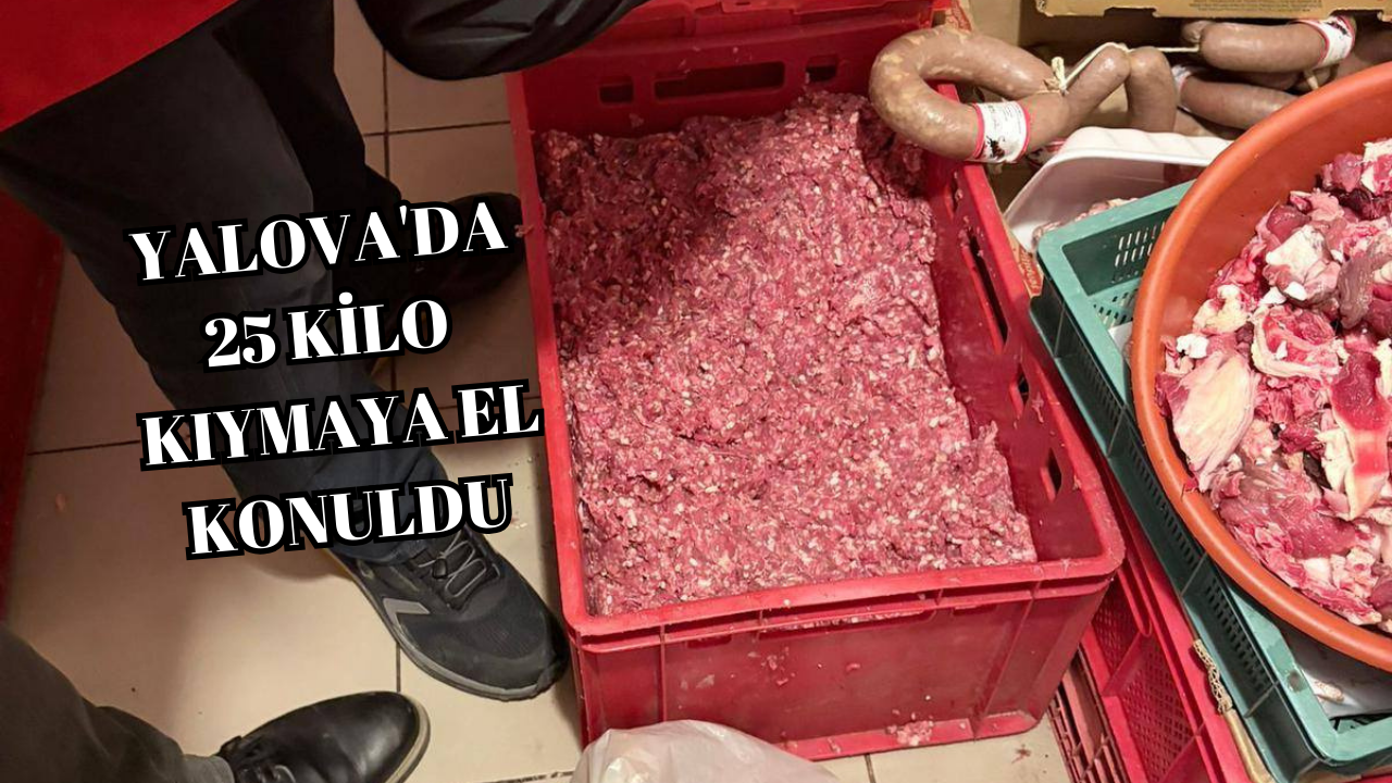 YALOVA’DA GIDA DENETİMİ ALARMI: 25 KİLO KIYMAYA EL KONULDU