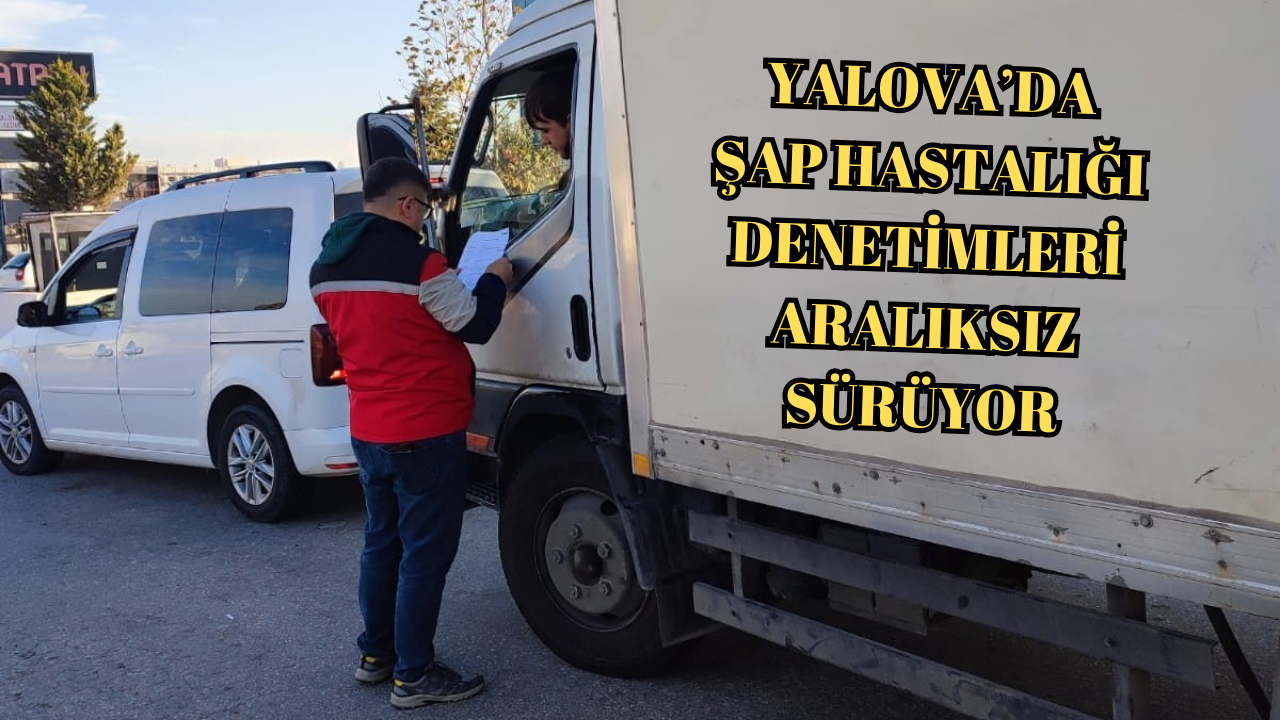 YALOVA’DA ŞAP HASTALIĞI DENETİMLERİ ARALIKSIZ SÜRÜYOR