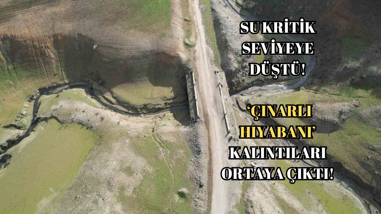 ÇINARLI HIYABANI GÜN YÜZÜNE ÇIKTI!