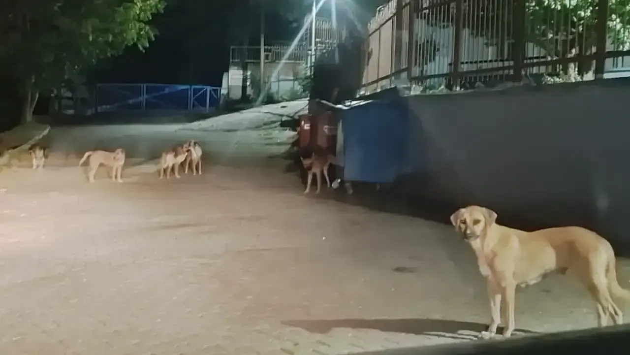 “KARAMÜRSEL'DE YETKİLİLER NE ZAMAN GÖREVİNİ YAPACAK?” 4 “YETKİLİLER NE ZAMAN GÖREVİNİ YAPACAK?”