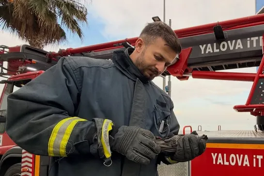 YALOVA’DA AĞAÇTA MAHSUR KALAN YARALI KARGA İÇİN İTFAİYE SEFERBER OLDU