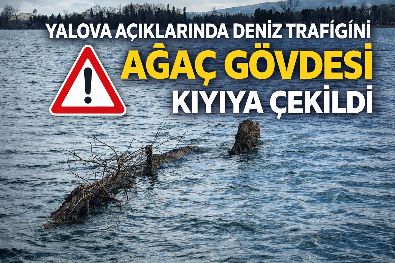 YALOVA AÇIKLARINDA DENİZ TRAFİĞİNİ TEHDİT EDEN AĞAÇ GÖVDESİ KIYIYA ÇEKİLDİ
