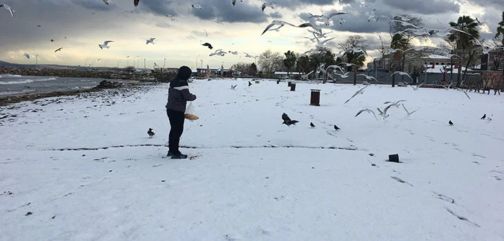 YILBAŞI GECESİ GELEN KAR, YALOVA’YI BEYAZA BÜRÜDÜ