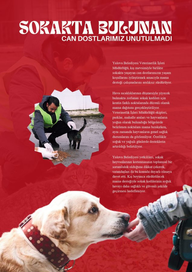 23 IC SAYFA page 0001