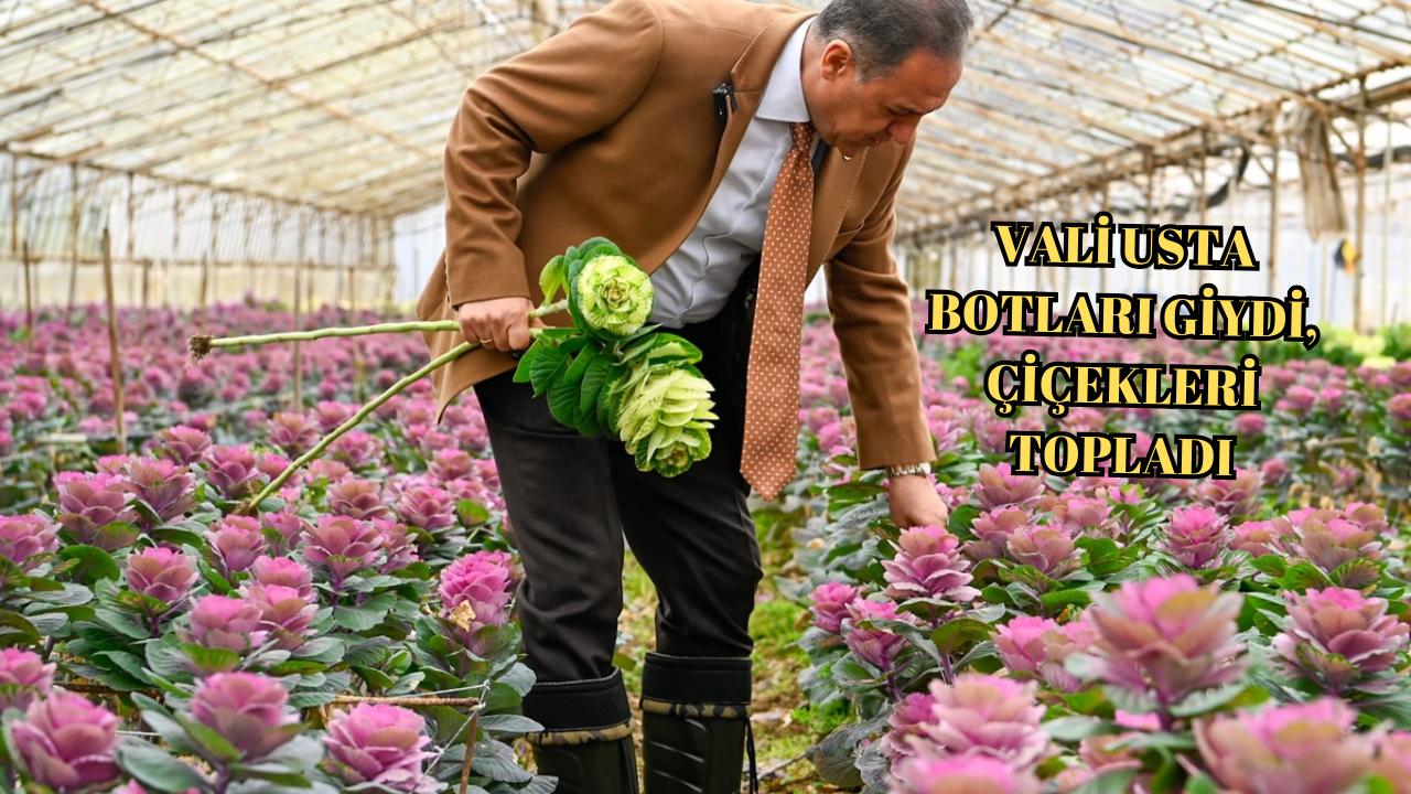 VALİ DR. AHMET HAMDİ USTA ÜRETİCİLERLE SAHADA BULUŞTU