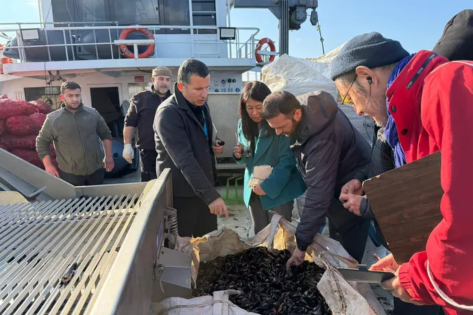 JAPON UZMAN HEYETİ, YALOVA’NIN ORGANİK MİDYELERİNİ İNCELEDİ