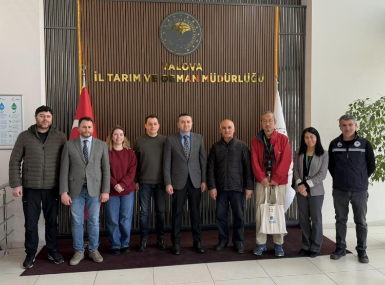 JAPON UZMAN HEYETİ, YALOVA’NIN ORGANİK MİDYELERİNİ İNCELEDİ