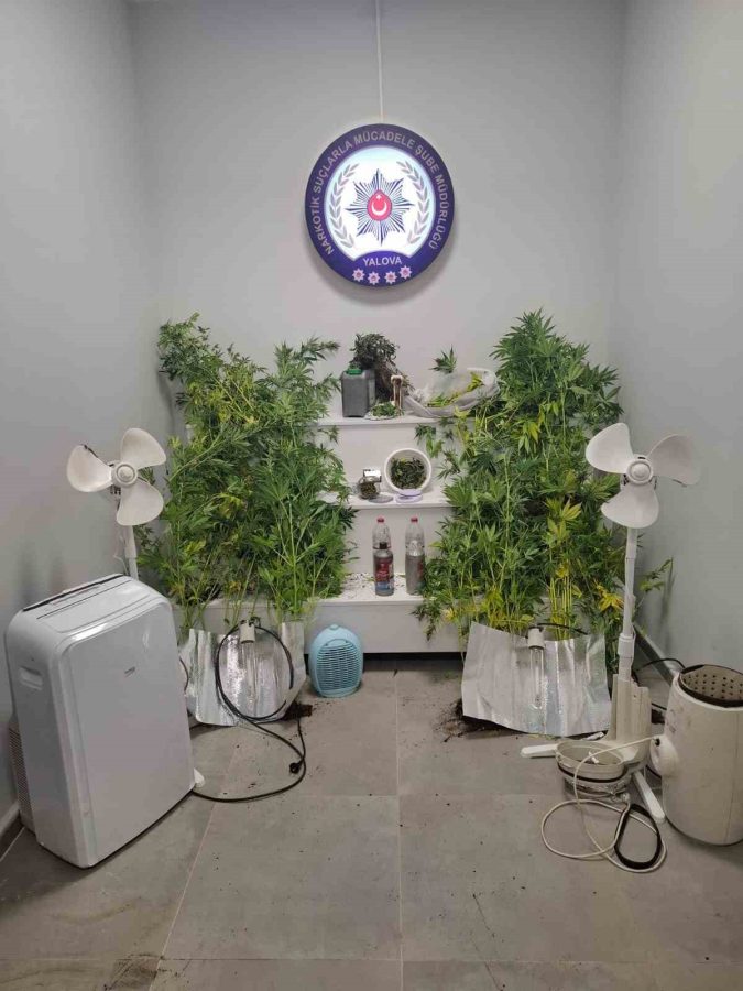 YALOVA’DA FİRARİ HÜKÜMLÜYE NARKOTİK OPERASYONU