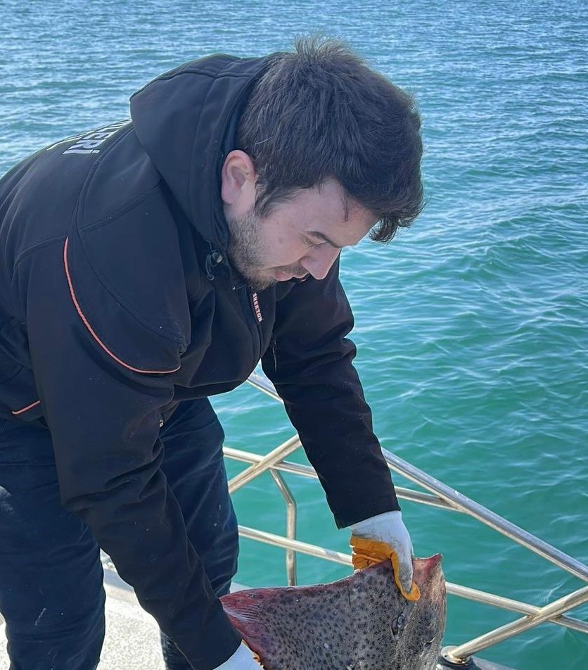 YALOVA’DA KAÇAK AVCILIĞA GEÇİT YOK!