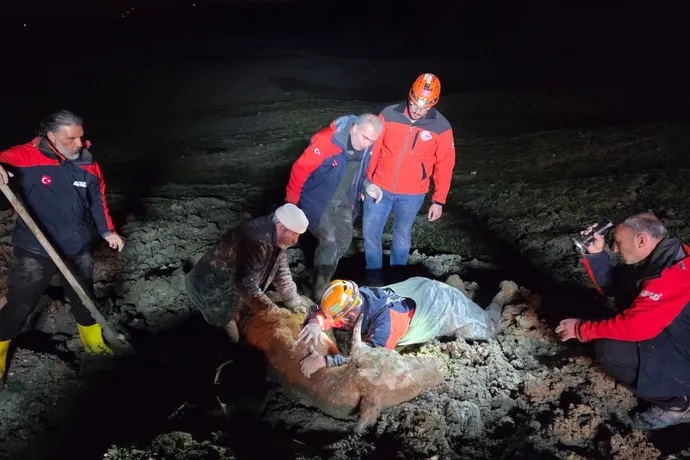YALOVA’DA NEFES KESEN OPERASYON: BATAKLIKTA MAHSUR KALAN VATANDAŞ VE HAYVAN KURTARILDI