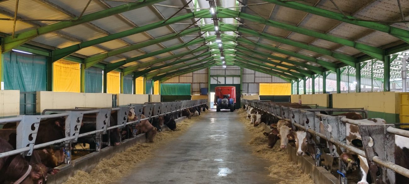 GÜLEÇ KARDEŞLER’DE KURBANLIK SATIŞLARI 29 MART’DA BAŞLIYOR