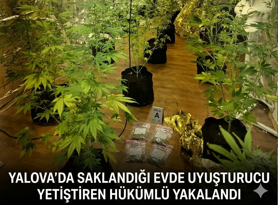 YALOVA’DA FİRARİ HÜKÜMLÜYE NARKOTİK OPERASYONU