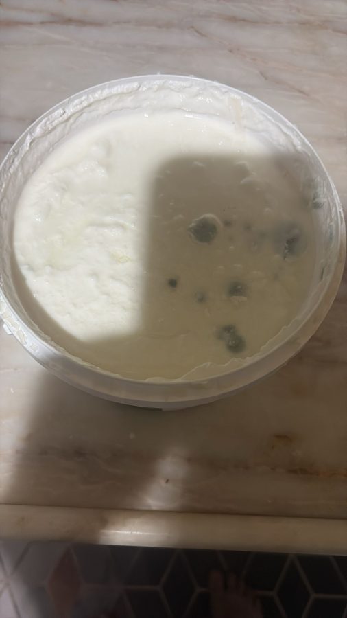 ALTINOVA'DA MARKETTEN ALINAN YOĞURT KÜFLÜ ÇIKTI!