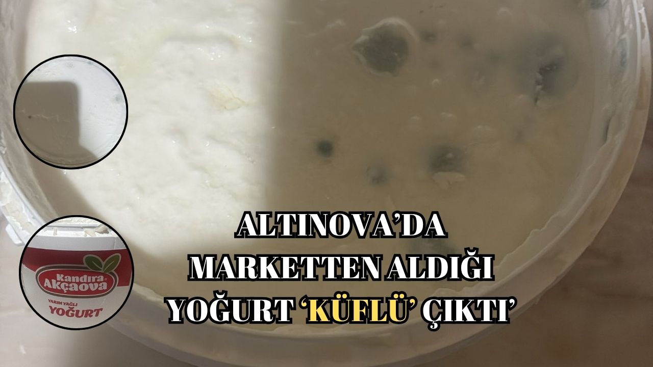 ALTINOVA’DA MARKETTEN ALINAN YOĞURT KÜFLÜ ÇIKTI!