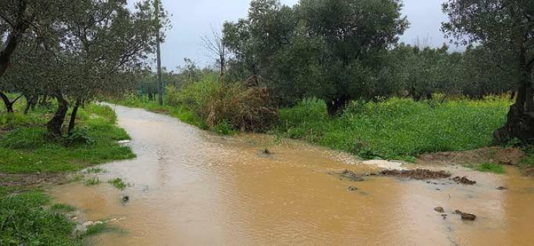 ESEKÖY’DE DERELER TAŞTI, BÜYÜKBAŞ HAYVANLAR TELEF OLDU