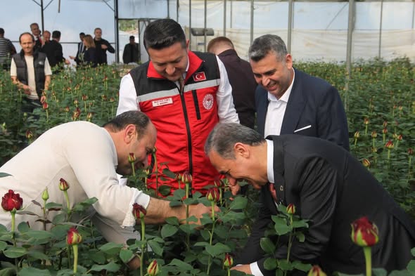 YALOVA’DA GÜL HASADI BAŞLADI.. VALİ USTA ÜRETİCİLERLE BİR ARAYA GELDİ