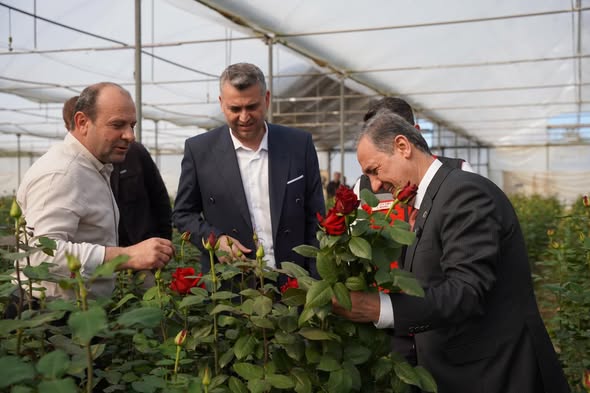 YALOVA’DA GÜL HASADI BAŞLADI.. VALİ USTA ÜRETİCİLERLE BİR ARAYA GELDİ