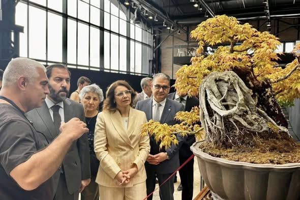 ULUSAL BONSAİ FUARINA YALOVA DAMGASI 2 ULUSAL BONSAİ FUARINA YALOVA DAMGASI