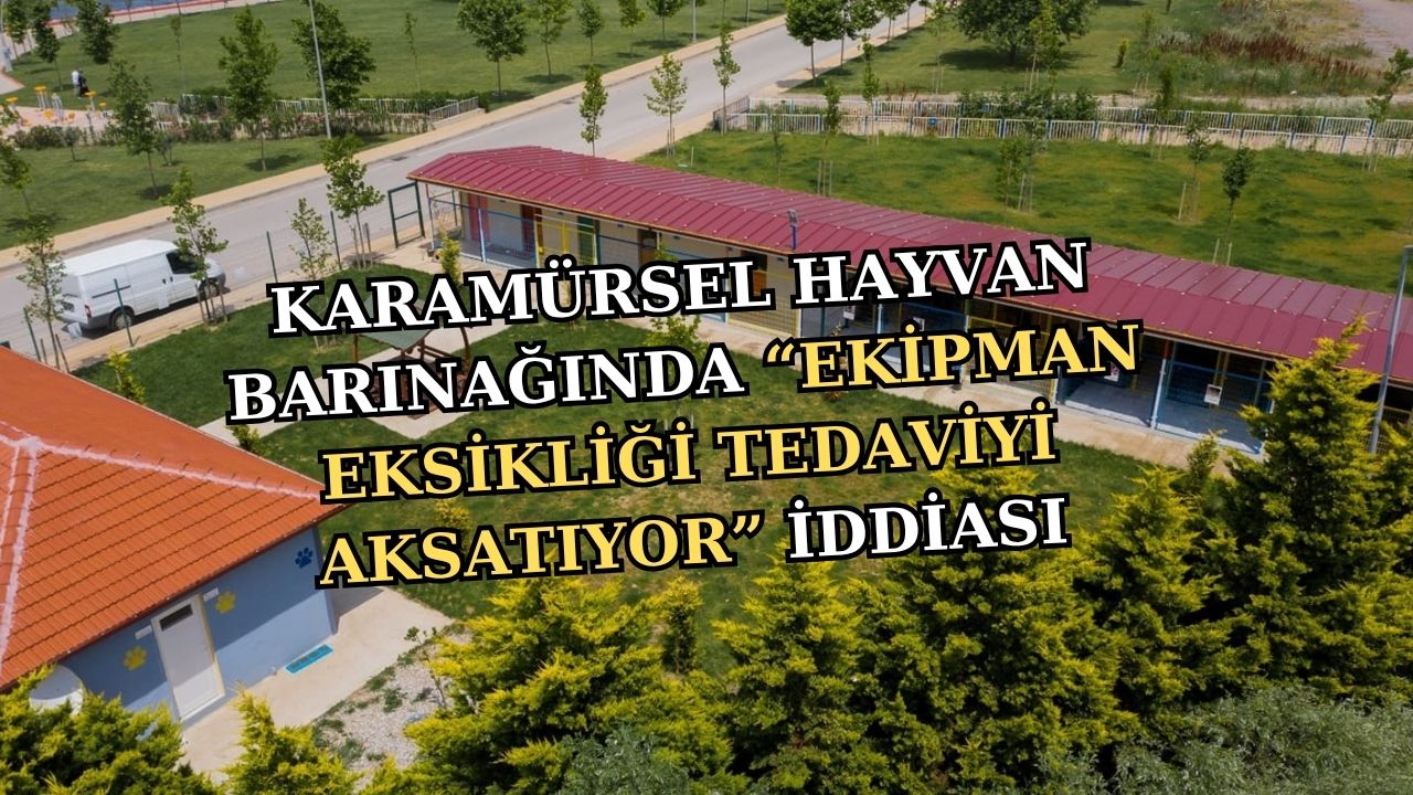 KARAMÜRSEL HAYVAN BARINAĞINDA “TEMEL TIBBİ DONANIM EKSİK” İDDİALARI