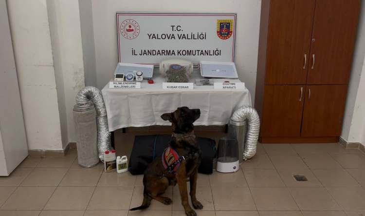 ALTINOVA’DA UYUŞTURUCU OPERASYONU