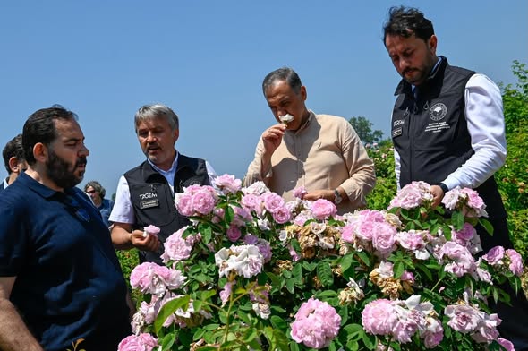 YALOVA’DA MİLLİ GÜL ÇEŞİTLERİ TANITILDI 4 YALOVA’DA MİLLİ GÜL ÇEŞİTLERİ TANITILDI